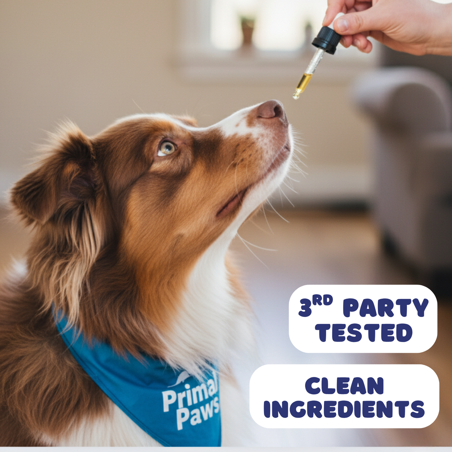 Primal Paws Liquid Collagen for Dogs