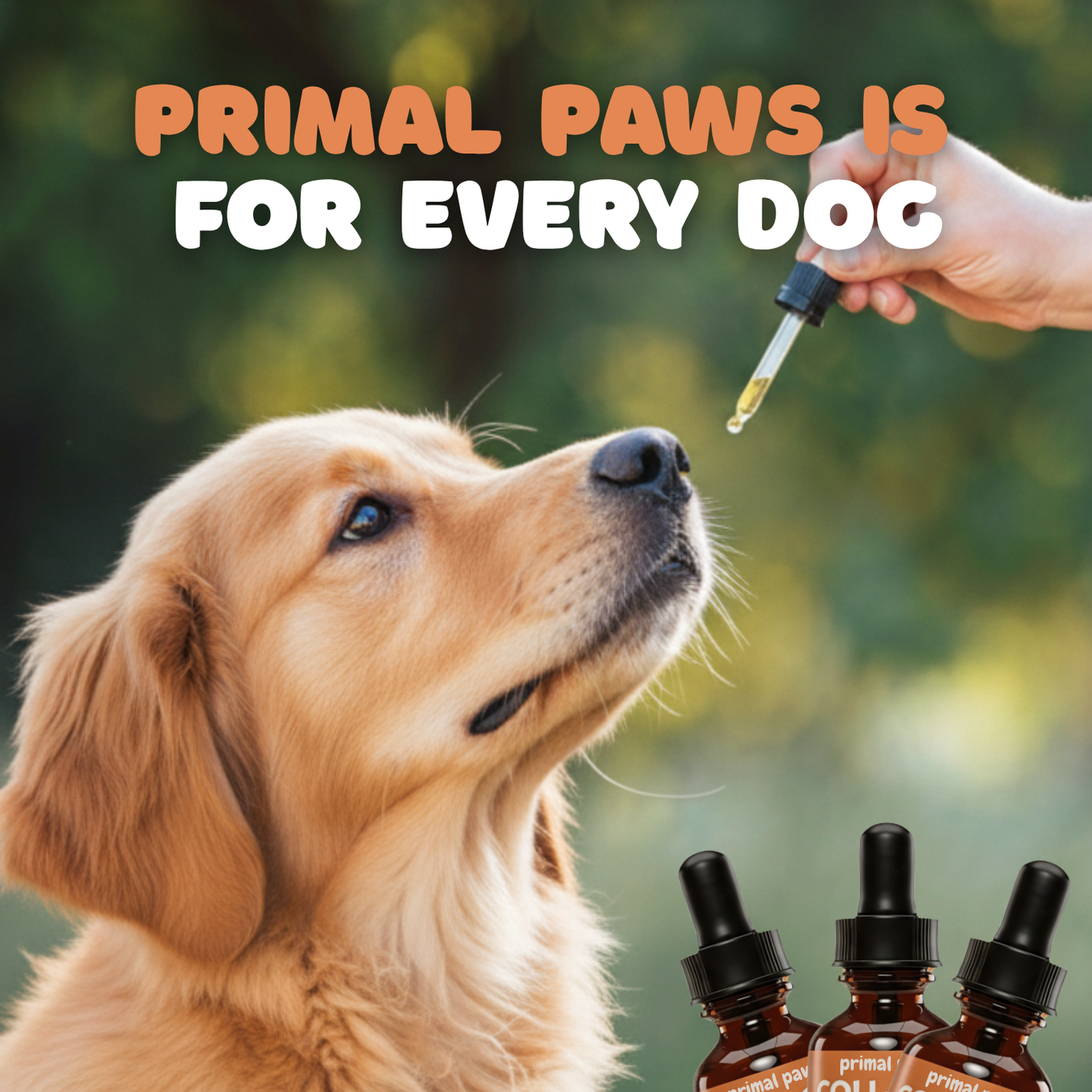 Primal Paws Liquid Collagen for Dogs