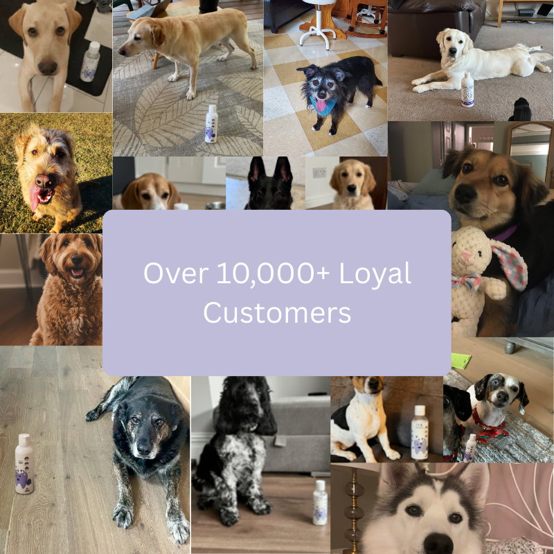 Primal Paws™ Dental+