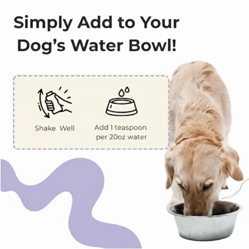 Primal Paws™ Dental+