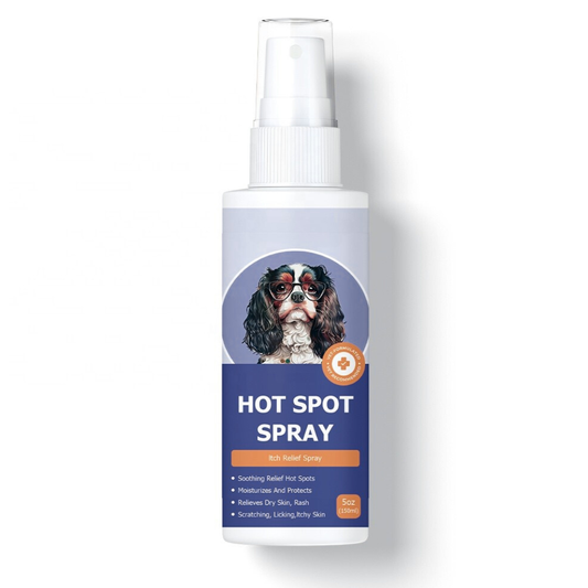 Protect Your Dog’s Skin from Itching and Infections